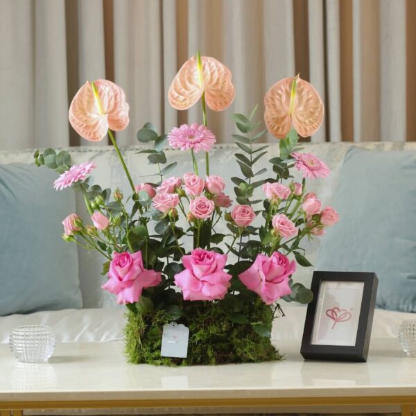 Bloom Nest